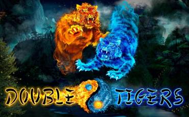 Double Tigers slot online