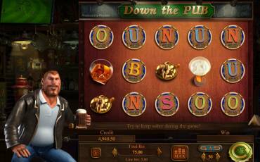 Down the Pub slot online