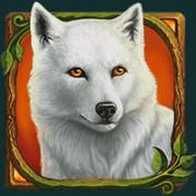 Druids’ Dream: White Wolf