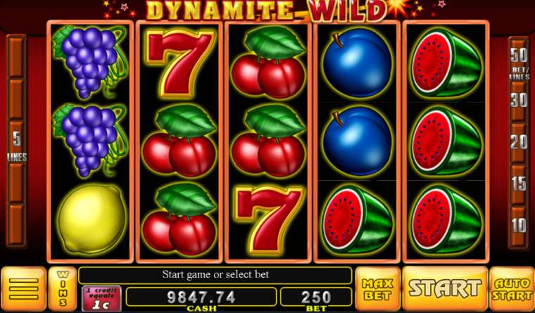 Play Dynamite Wild slot
