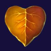 Hearts symbol in Wilderland slot