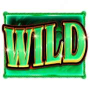 WIld symbol in Treasure Hunter slot