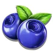 Blueberries symbol in Jam Bonanza slot
