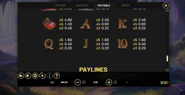 Enchanted: Forest of Fortune Hold&Win: Payout table