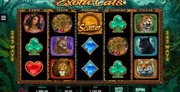 Exotic Cats: Exotic Cats slot