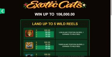 Exotic Cats: Rules