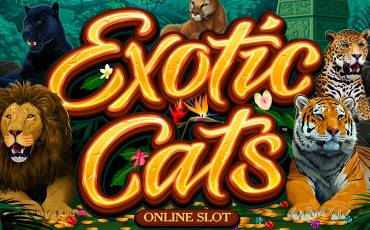 Exotic Cats slot online