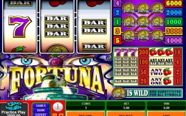 Fortuna slot online