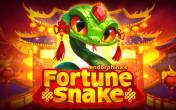 Fortune Snake