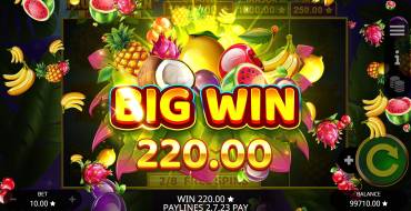 Fruit Heaven Hold And Win: Winnings