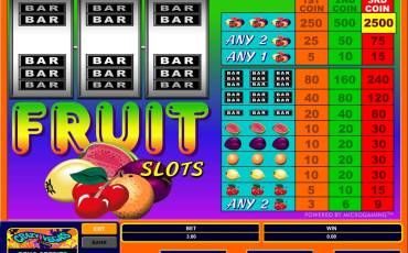 Fruit Slots slot online