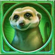 Gator Gold Deluxe Gigablox: Meerkat