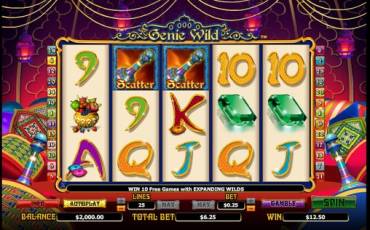 Genie Wild slot online