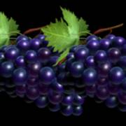 Great 27: Grapes