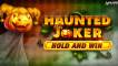 Play Haunted Joker Hold and Win slot