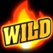 Hell Hot 40: Wild