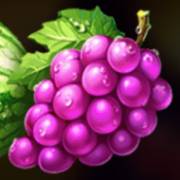 Hot Coins Hold and Win: Grape