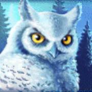 Icy Wilds: Owl