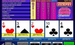 Play Joker Poker Progressive