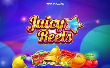 Juicy Reels slot online