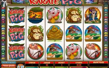 Karate Pig slot online