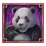 Legacy of Dynasties: Panda