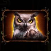 Leshy’s Magical Forest: Owl