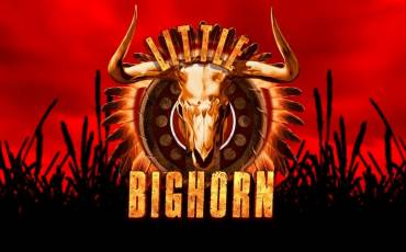 Little Bighorn slot online