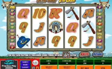 Little Chief Big Cash slot online