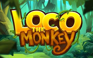 Loco the Monkey