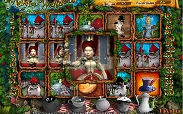 Magic and Wonders slot online