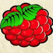 Magic Fruits Deluxe: Raspberry