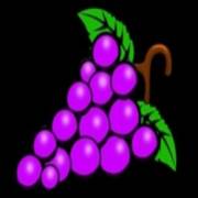 Magic Hot 4: Grapes