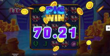 Magic Piggy: Winnings