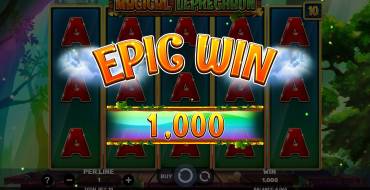 Magical Leprechaun: Winnings