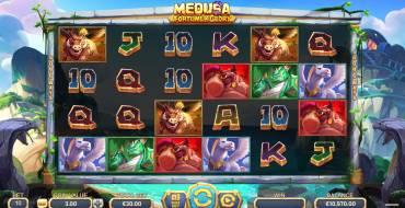 Medusa – Fortune and Glory: Interface