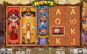 Meet the Meerkats slot online