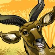 Mega Moolah: Antelope