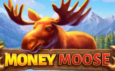 Money Moose slot online