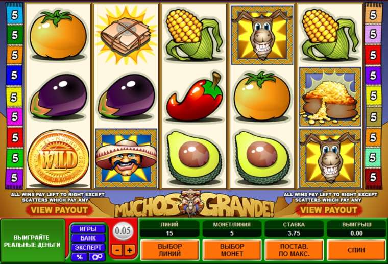 Free Play Microgaming online