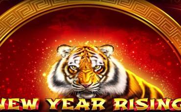 New Year Rising slot online