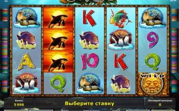 Orca slot online