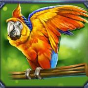 Pirate Gold: Parrot