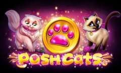 Play Posh Cats