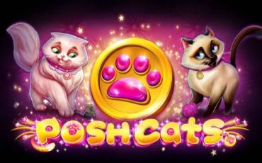 Posh Cats slot online