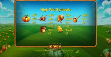 Pumpkin Patch: Paytable