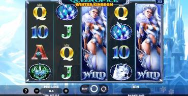 Queen Of Ice – Winter Kingdom: Slot machine