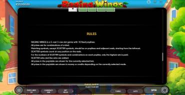 Raging Wings: Rules