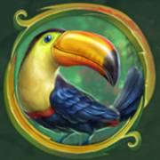 Rainforest Magic: Bird