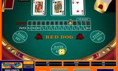 Play Red Dog